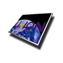 Pantalla LCD Samsung 12.1" WXGA 1280x800 - LTN121W1-L02       